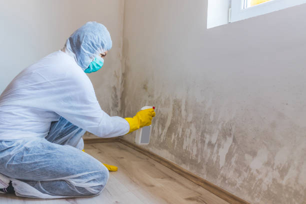 Crawl Space Mold Remediation treatment of floor joists in Madison